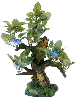 Bonsai Wood