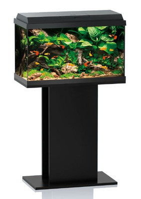 Juwel Primo 70 LED Aquarium Black No stand included