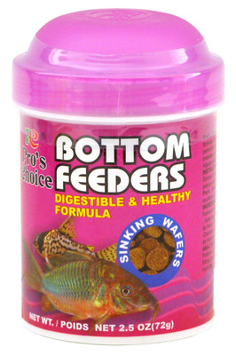bottom feeder fish