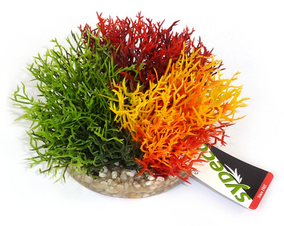 Sydeco Aquarium Plant Fiesta Moss Large