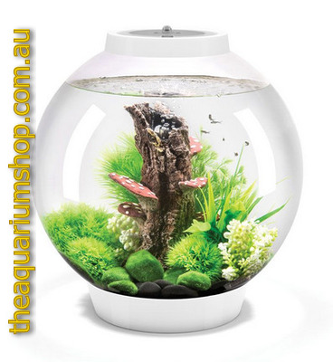 BiOrb Classic 30 Circular Aquarium 30L MCR White The Aquarium Shop