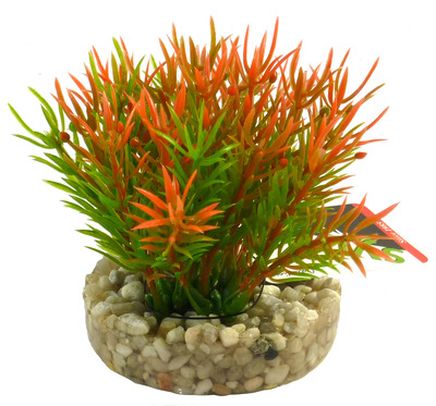 Sydeco Aquarium Plant Petite Moss