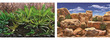 Seaview Aquarium Background Double Sided 15.24 metres x 29.5cm - Tropical Terrarium-Desert Sky