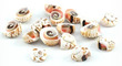Sea Shell Craft and Scrapbooking