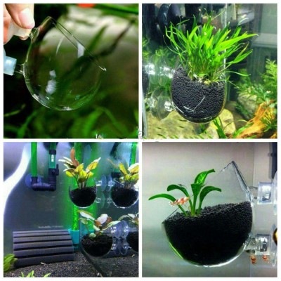 Plant Polka Pot Suction Cup Tank Attachment - The Aquarium Shop