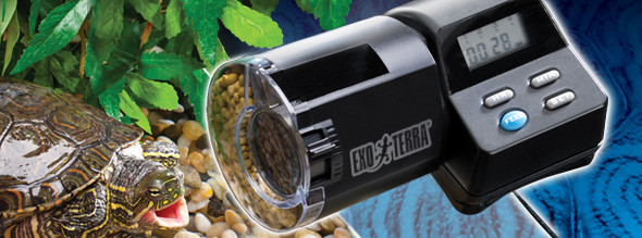 Exo terra automatic outlet turtle feeder