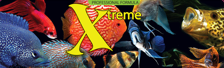 Xtreme Fish Food