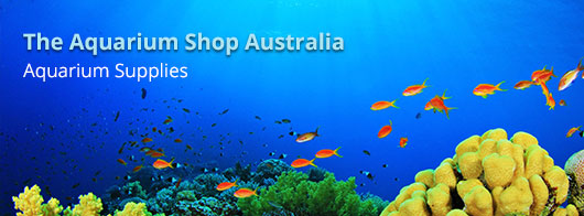 aquarium supplies online