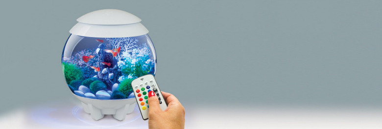 product image header