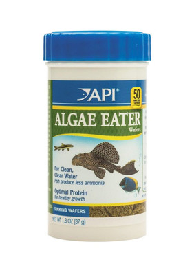 API Algae Eater Wafers 37g - The Aquarium Shop Australia
