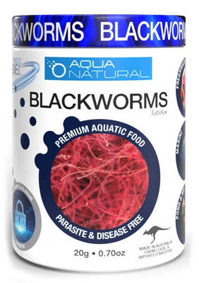 Aqua Natural Blackworms Freeze Dried 20g