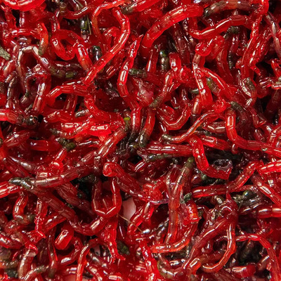 Blood Worms