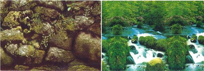 Aquarium Background Double Sided 59cm high - Nature Exotic Rocks and Green River