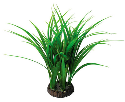 Grass Plant Rush 15inch
