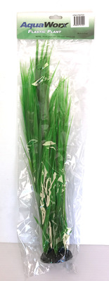 Grass Plant Rush 20inch