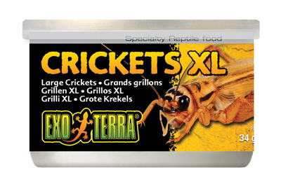 Exo Terra Canned Crickets XL 34g