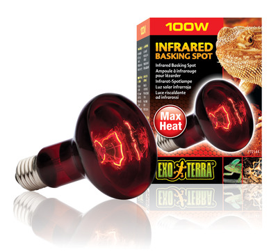 Exo Terra Heat Glo Infrared Heat Lamp R25 100watt