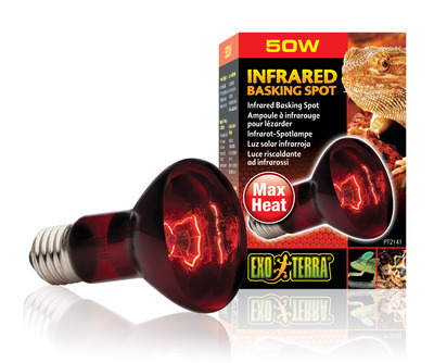 Exo Terra Heat Glo Infrared Heat Lamp R20 50watt