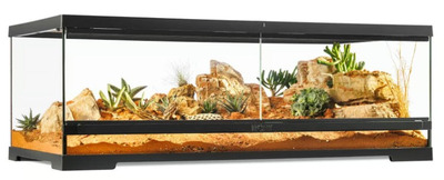Exo Terra PRO Glass Terrarium Large Low 90 x 45 x 30cm