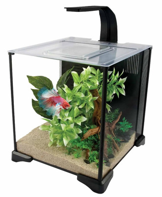 Fluval Betta Premium Aquarium Kit 22.7 Litres