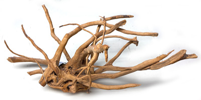 Spider Wood 40-50cm