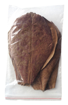 Indian Almond Leaves Large 10 Pkt