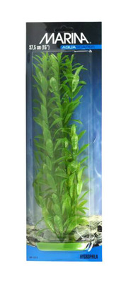 Marina Aquascaper Hygrophila Aquarium Plant Extra Large
