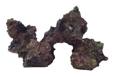 Marine Coral Rock No 1