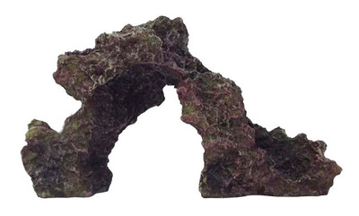 Marine Coral Rock No 2