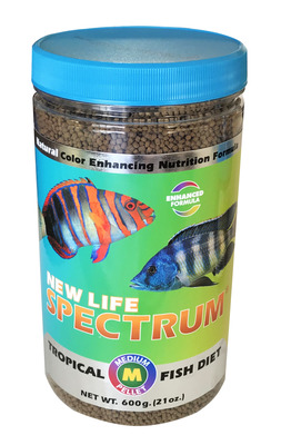 tropical fish food in bulk