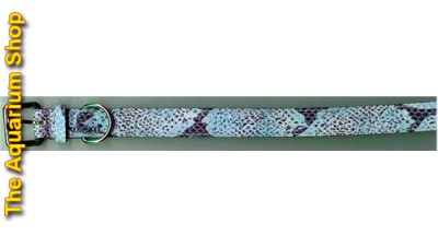 Python Collar for Dogs Blue 50cm x 2.5cm