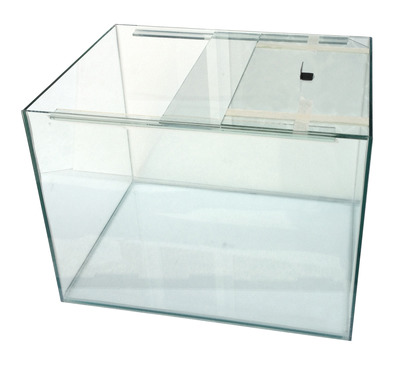 Standard Glass Aquarium 24 x 18 x 18inches high - The Aquarium Shop ...