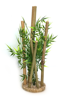 Sydeco Bamboo XLarge with Plants 38cm *** ON SPECIAL REDUCED TO CLEAR ***