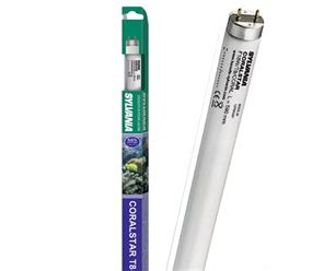 Sylvania CoralStar Actinic Marine T8 Light Tube 18watt