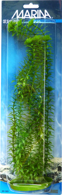 Marina Aquascaper Anacharis Aquarium Plant Extra Large