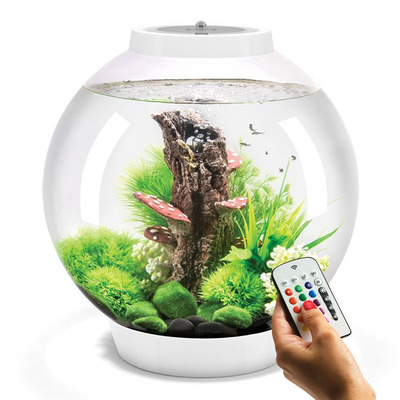 Biorb Classic 30 Circular Aquarium 30l Mcr White The Aquarium