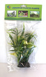 AquaWorx Bunch Plant Lilly 6inch PPB-06L