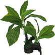 Aqua Dekore Exotic Plant Replica Giant Lemon Tree