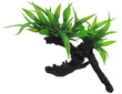 Aqua Dekore Exotic Plant Replica Twin Indo Fern on Log