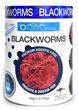 Aqua Natural Blackworms Freeze Dried 20g