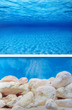 Aquarium Background Double Sided 60cm high - Seaview/White Stone