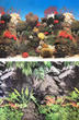 Aquarium Background Double Sided 90cm high - Watergrass - Coral
