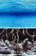 Seaview Aquarium Background Double Sided 45.7cm high - Deep Blue Seascape-Natural Mystic