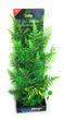 Deluxe Bunch Plant 16inch Ferns