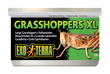 Exo Terra Canned Wild Male Grasshoppers XL 34g