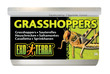 Exo Terra Canned Wild Male Grasshoppers 34g