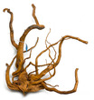 Gold Vine (Spider Wood) Large
