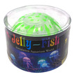 Jellyfish Green Clear Boxed Large 1 Piece