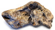 NZ Exotic Wood  Large 1 Piece