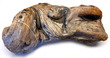 NZ Exotic Wood XLarge 50cm Approx